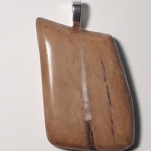 Petrified Wood